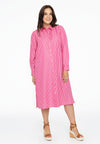 Robe chemisier longue small stripe - rose