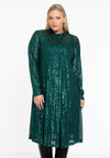 Dress blouse paillettes - green